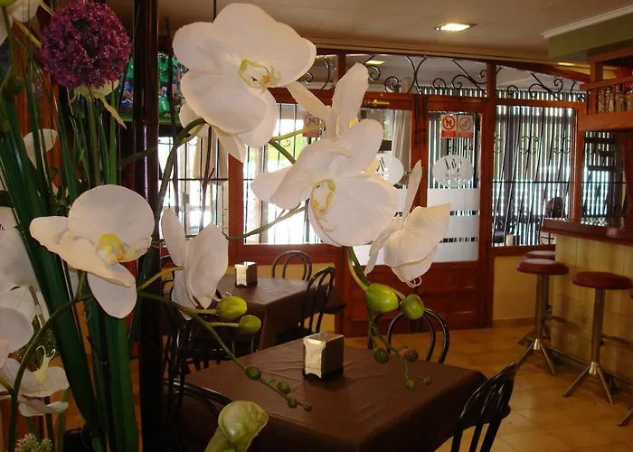 Hotel Fin De Semana (adults Only) 2*